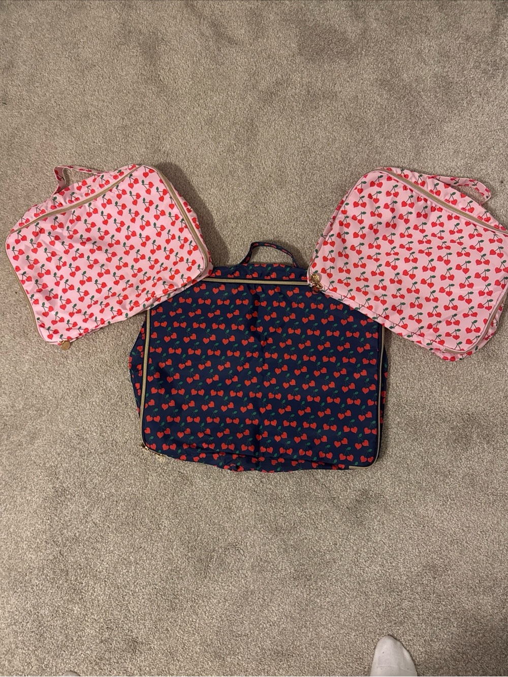 Dabney Lee 3 Cherry Packing Cubes NEW